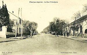 Fleurus 601